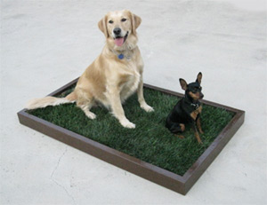 The large dog litter box - Doggy and 
